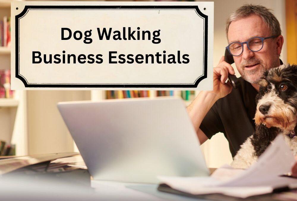 How To Start A Dog Walking Business