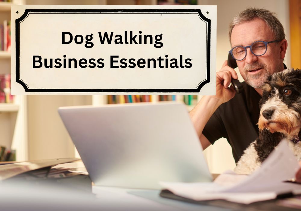 dog walking business essentials