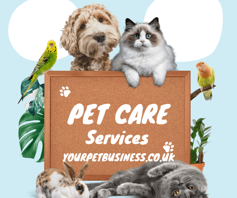 Pet Business Ideas To Inspire You To Do It!!