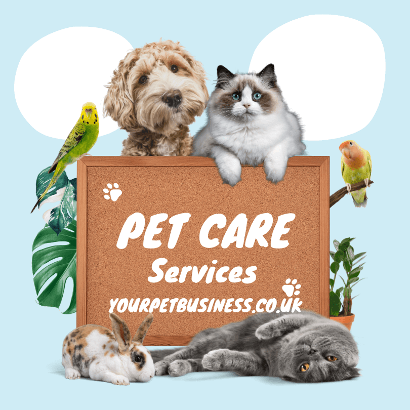 pet care business ideas