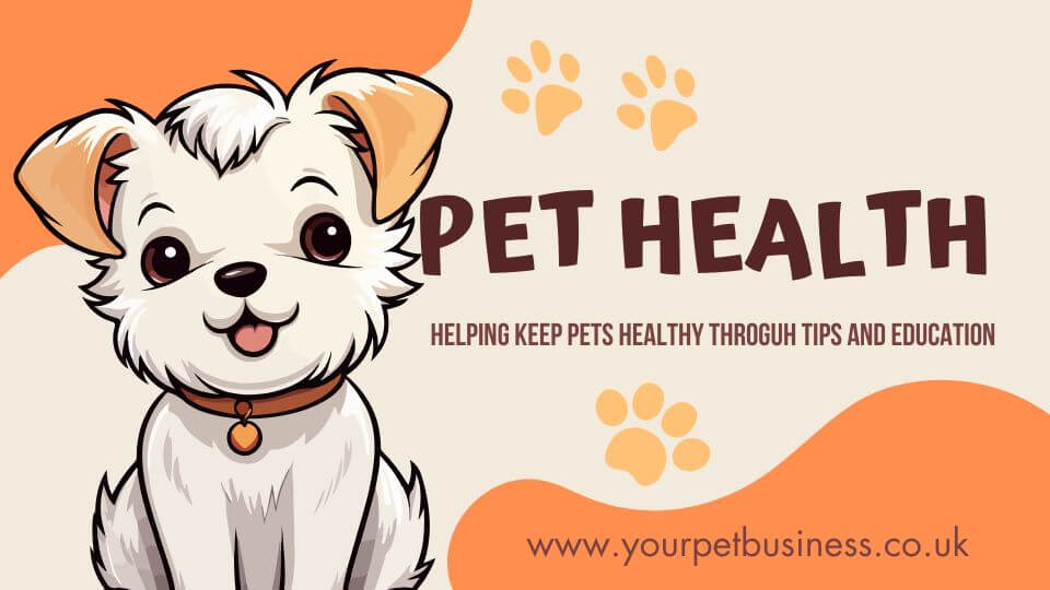 pet health business ideas