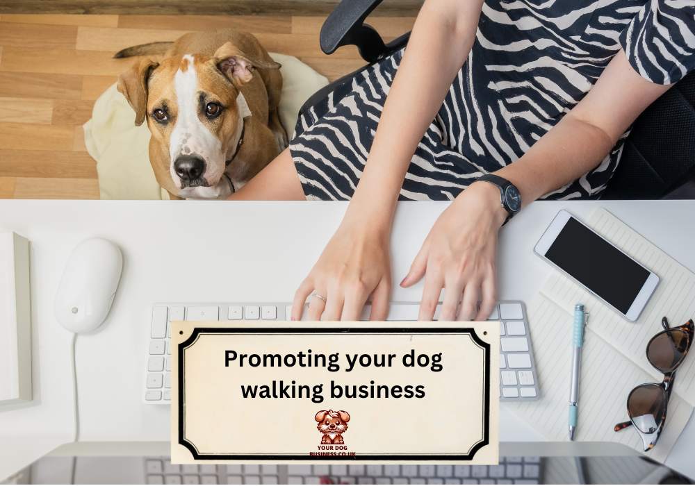 promoting your dog walking business