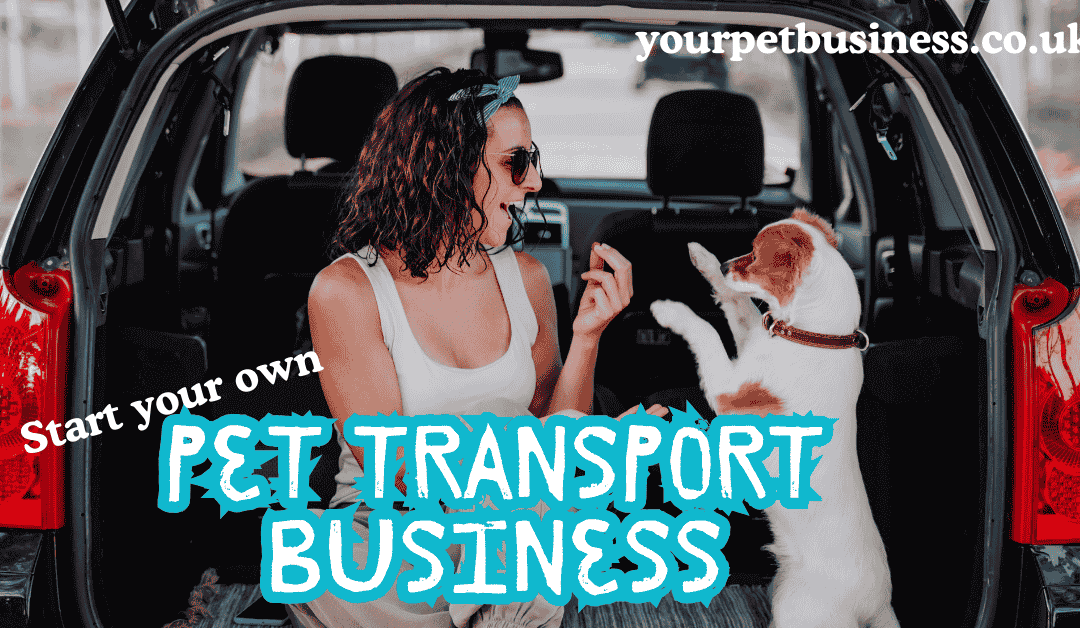 Start a Pet Transport Business