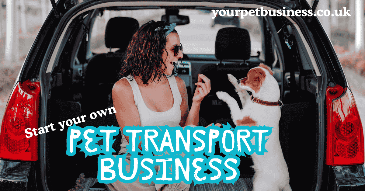 start a pet transportation business