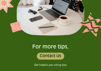 insta free petsitting template6