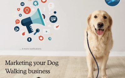 Starting a Dog Walking Business 2026: The Comprehensive Startup Blueprint
