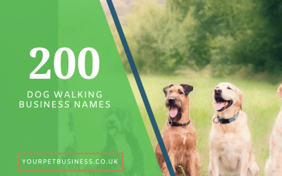 200+ Dog Walking Business Name Ideas for your reading!