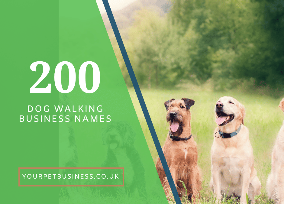 dog walking business name ideas main image
