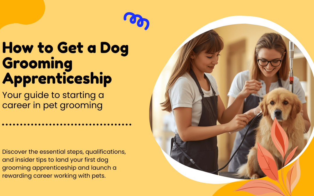 How to Get a Dog Grooming Apprenticeship