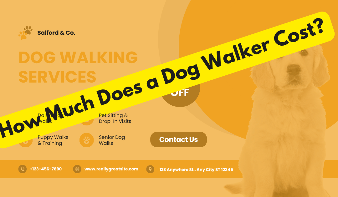 how much dog walking cost image
