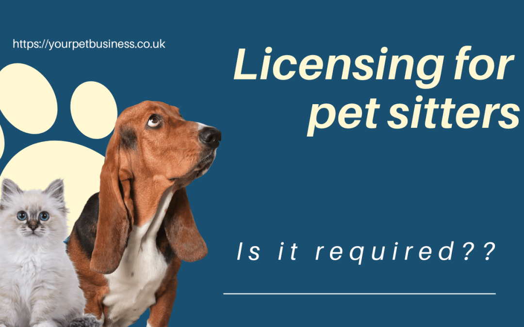 What licensing is required for pet sitters?