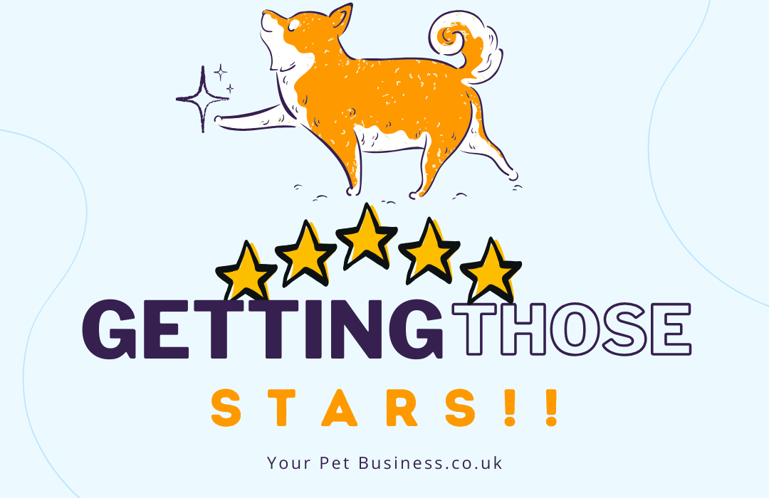 star reviews and your pet sitting services